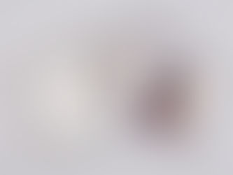 Preserving Elegance: The Exquisite World of Newborn Photography Folio Boxes in Baltimore, Columbia,