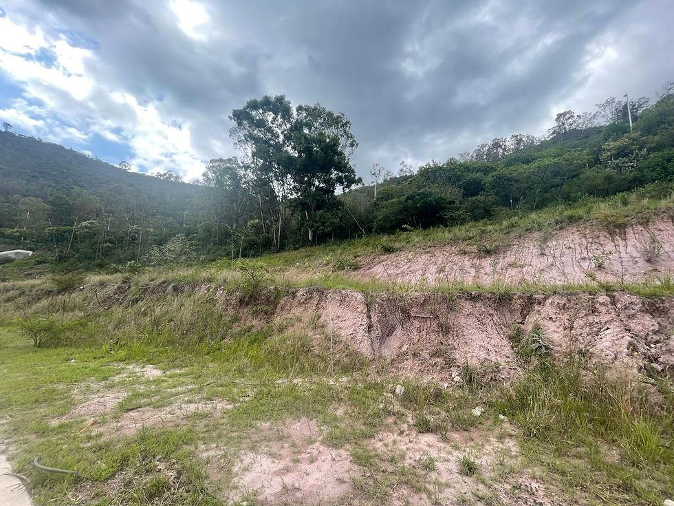 WhatsApp Image 2023-08-15 at 3.58.46 PM (3).jpeg