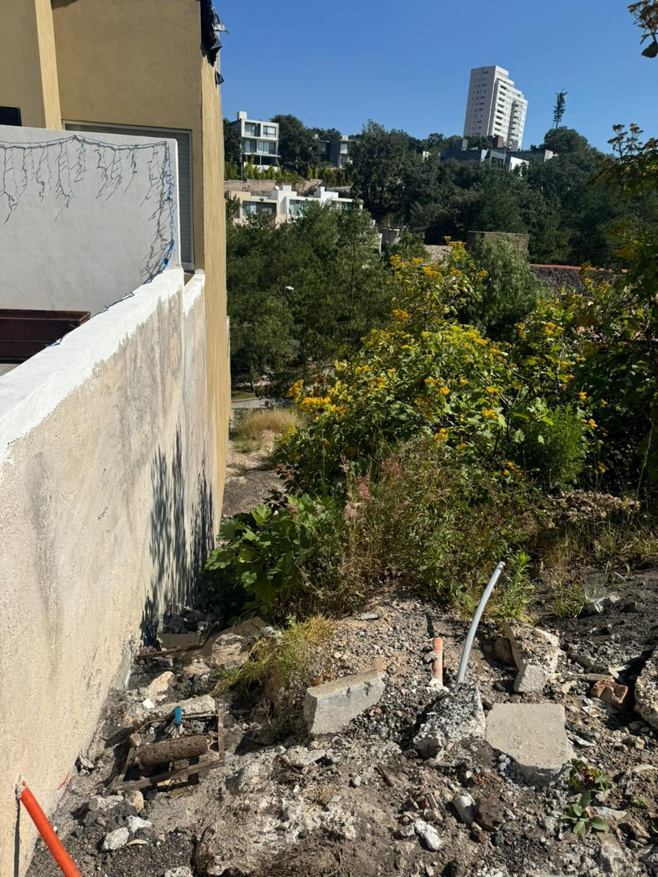 WhatsApp Image 2025-10-28 at 10.18.19 (3).jpeg