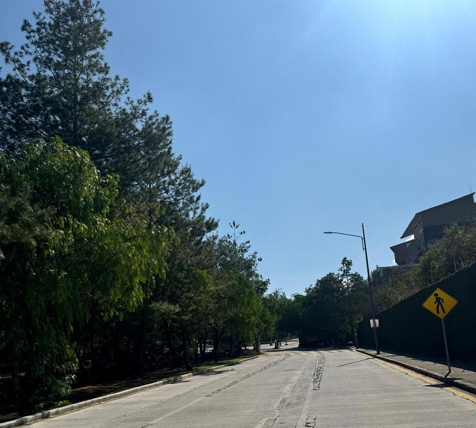 WhatsApp Image 2025-10-28 at 10.18.18 (1).jpeg