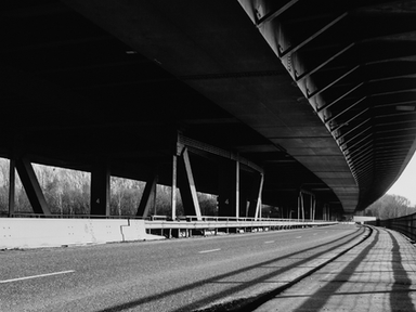 The fraying social contract and its implications for national preparedness