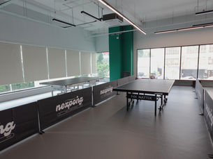 AX Table Tennis Flooring
