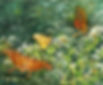 "3 Tiny Butterflies" $195.