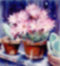 Cactus in Bloom $15.00 2"x2 1/4"