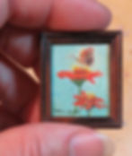 "Little Butterfly" scale
