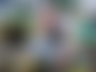 Elindult új weboldalunk – Útépítőgépek.com - VibroService Kft