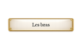 Bouton les bras