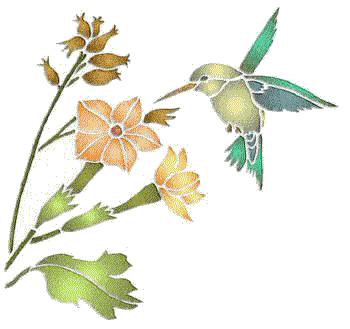 colibri.gif