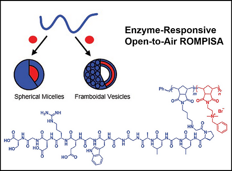 Enzyme-responsive_ROMPISA.png