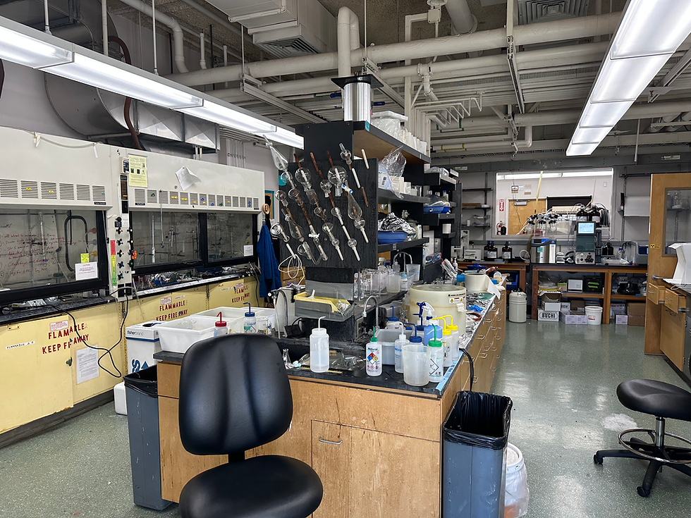 Lab Update October 2023