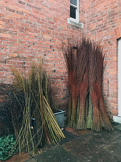 Willow sorting, processing Basketmakers and weavers, Jenny Crisp and Issy Wilkes