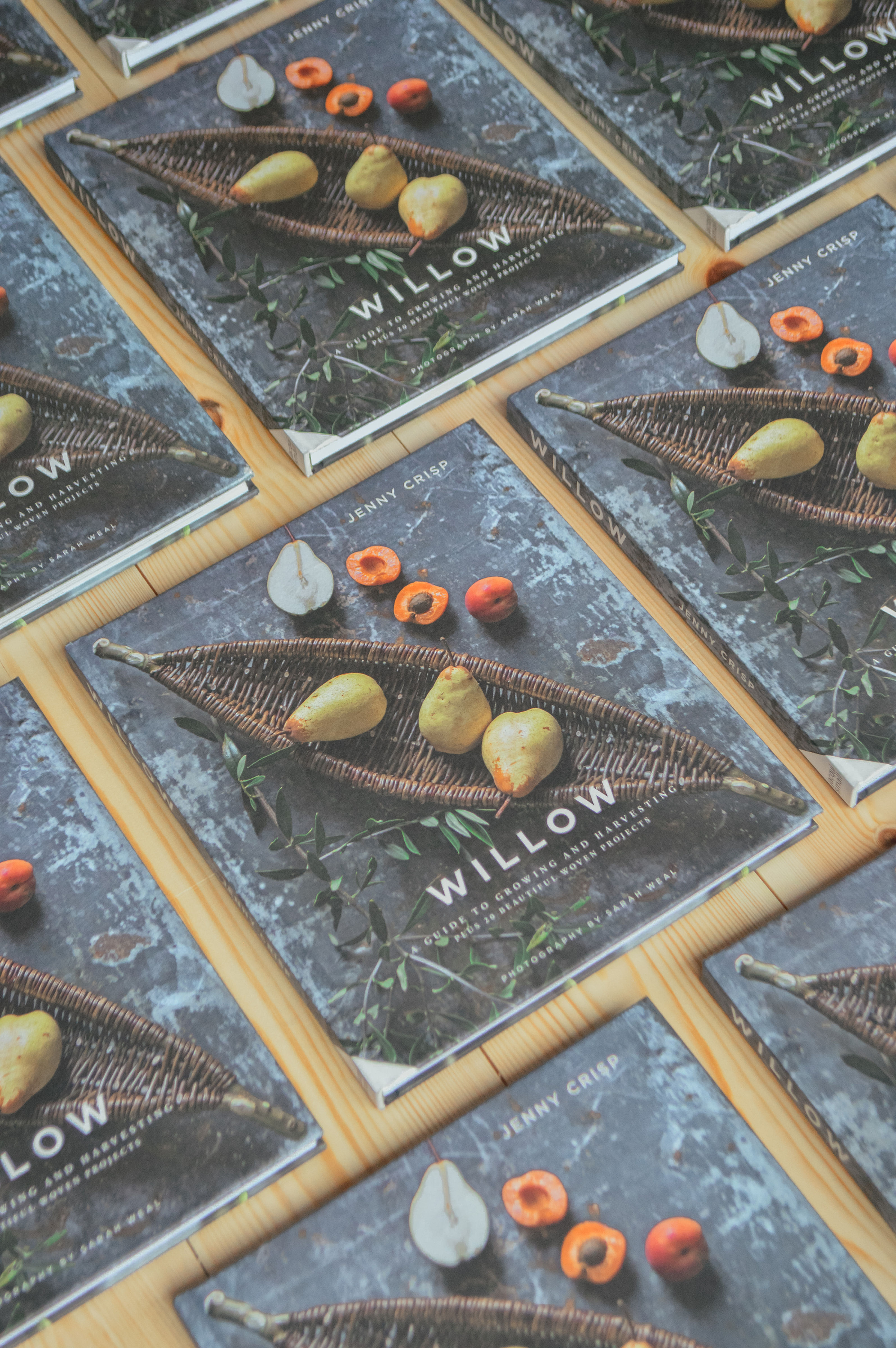 Willow by Jenny Crisp