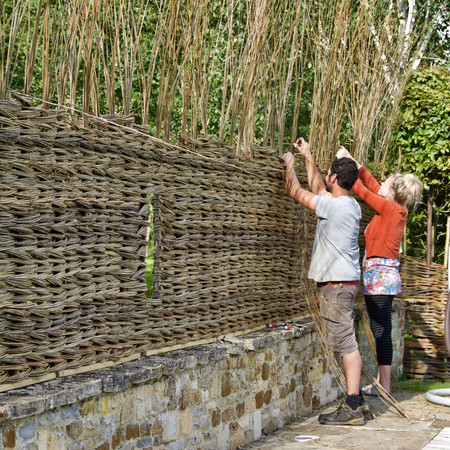 Dry Willow fence, Private Commission, Wiltshire 2017Willow Fencing, Hurdles and Panels. Sustainable, handmade and harvested wicker fencing by Professional Basketmakers Jenny Crisp and Issy Wilkes, Willow with Roots