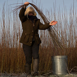 Jenny Crisp Sorting willow