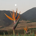 IMAG2811.jpg