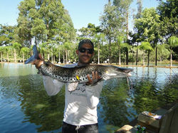 13055365_948142005283169_5648286969549641203_n