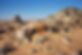 The desert region of Bennichab and Akjoujt in Mauritania is well known for its gold nugget