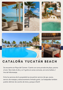 PLAYA DEL CARMEN HOTELES