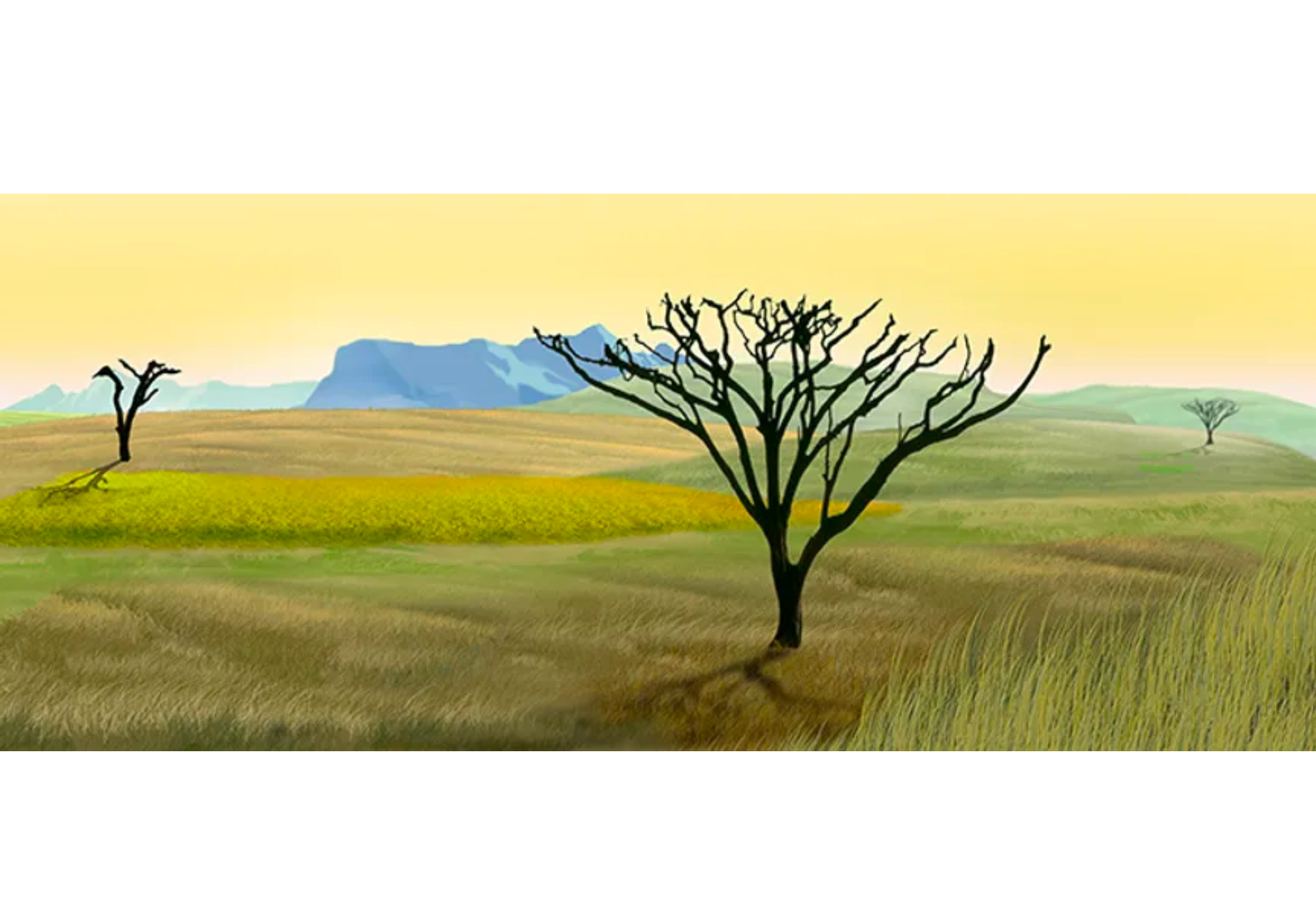 D109 Dead Savannah #1 (D109)