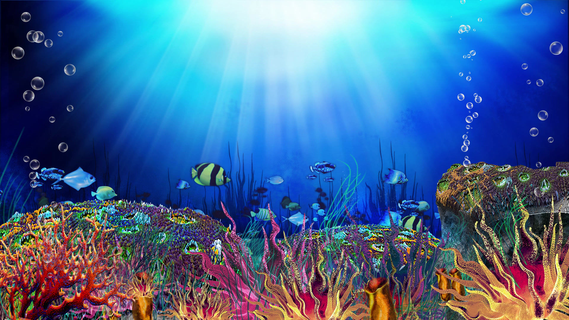 DPA006 Reef With Fish Animated