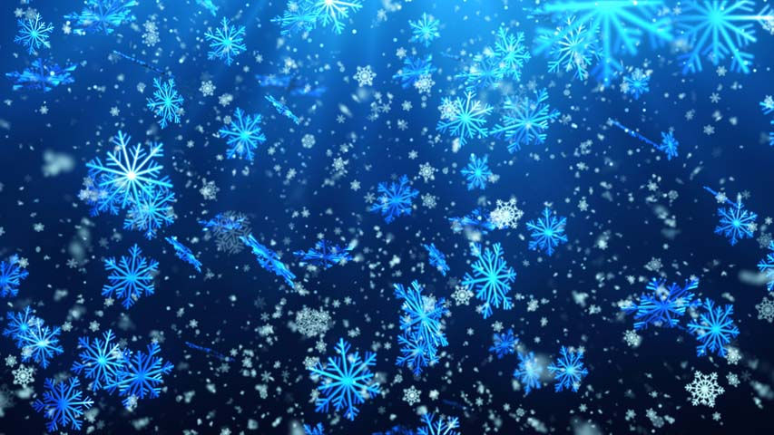 DP224 Snow Flakes