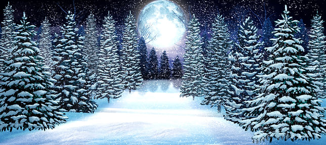 Snowy Forest New preview (1).jpg