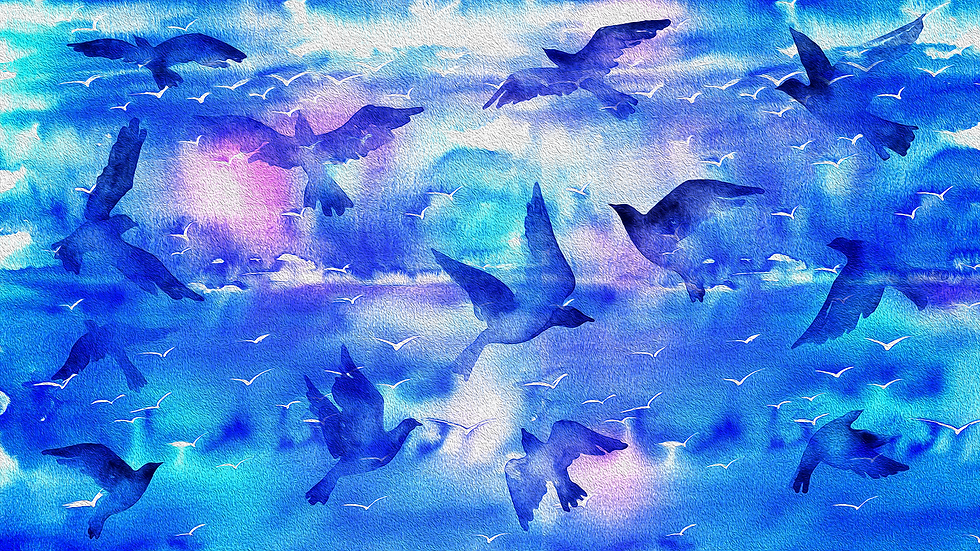 DP184 Little Bird Chavala