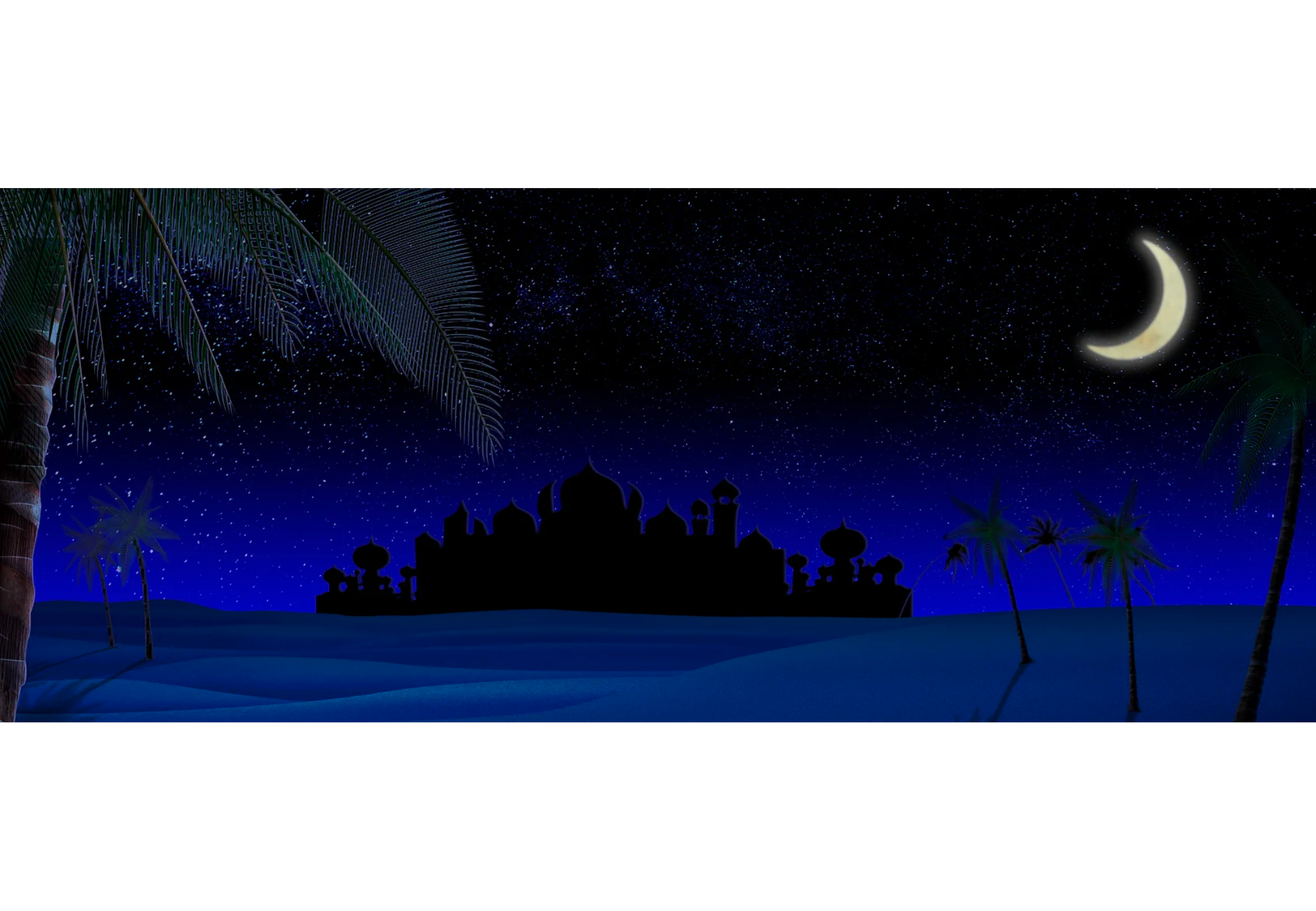 D214 Desert at Night