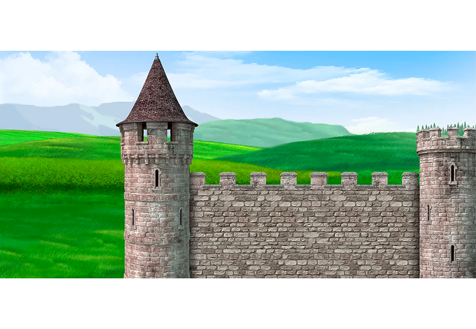 D295 Castle Wall (D295)