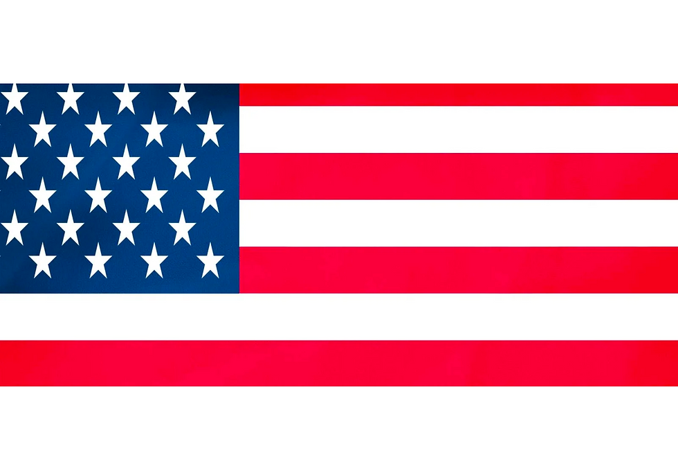 D215 American Flag