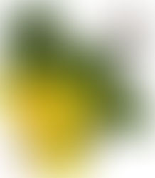 Nuevos puntos de acceso RTK / NTRIP