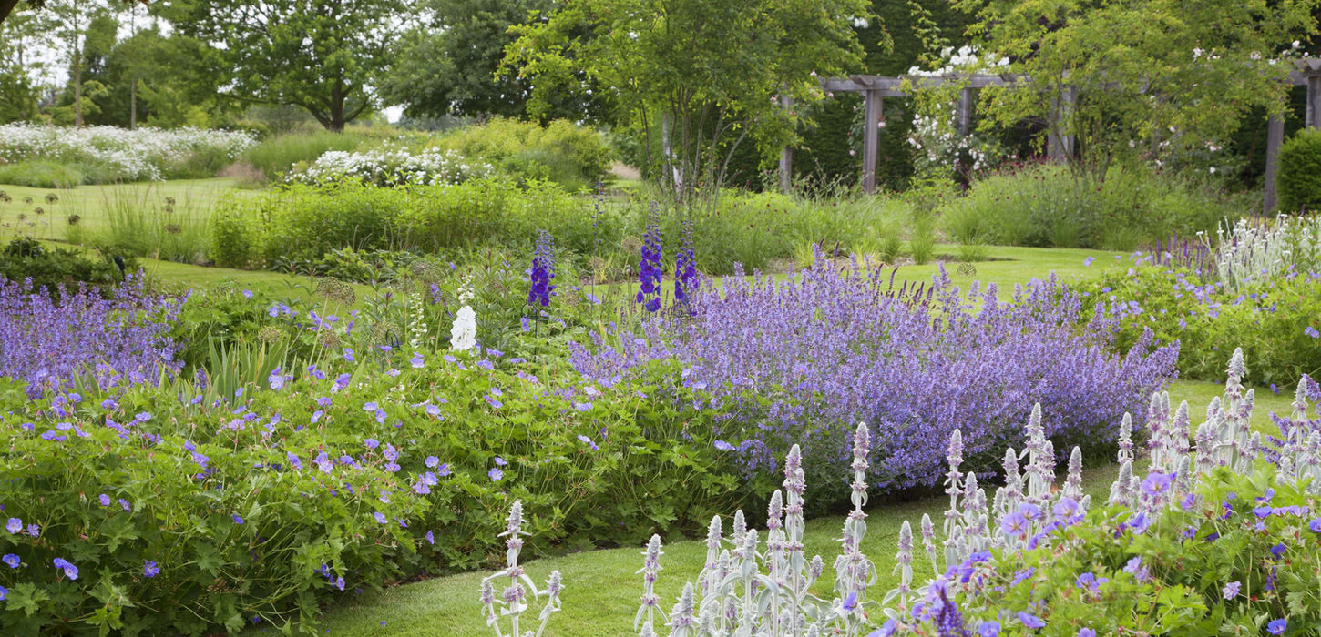 Formal floral garden by Joe Perkins Design