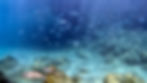 DSC04000.JPG
