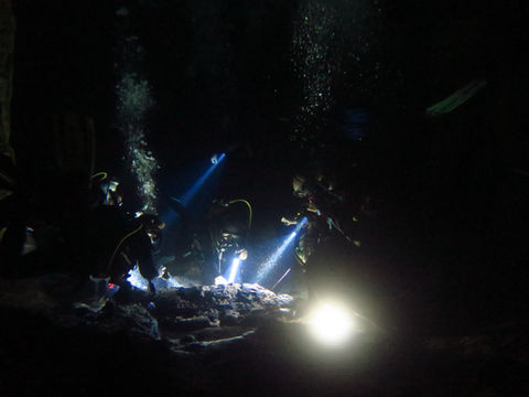 IMG_5999.JPG