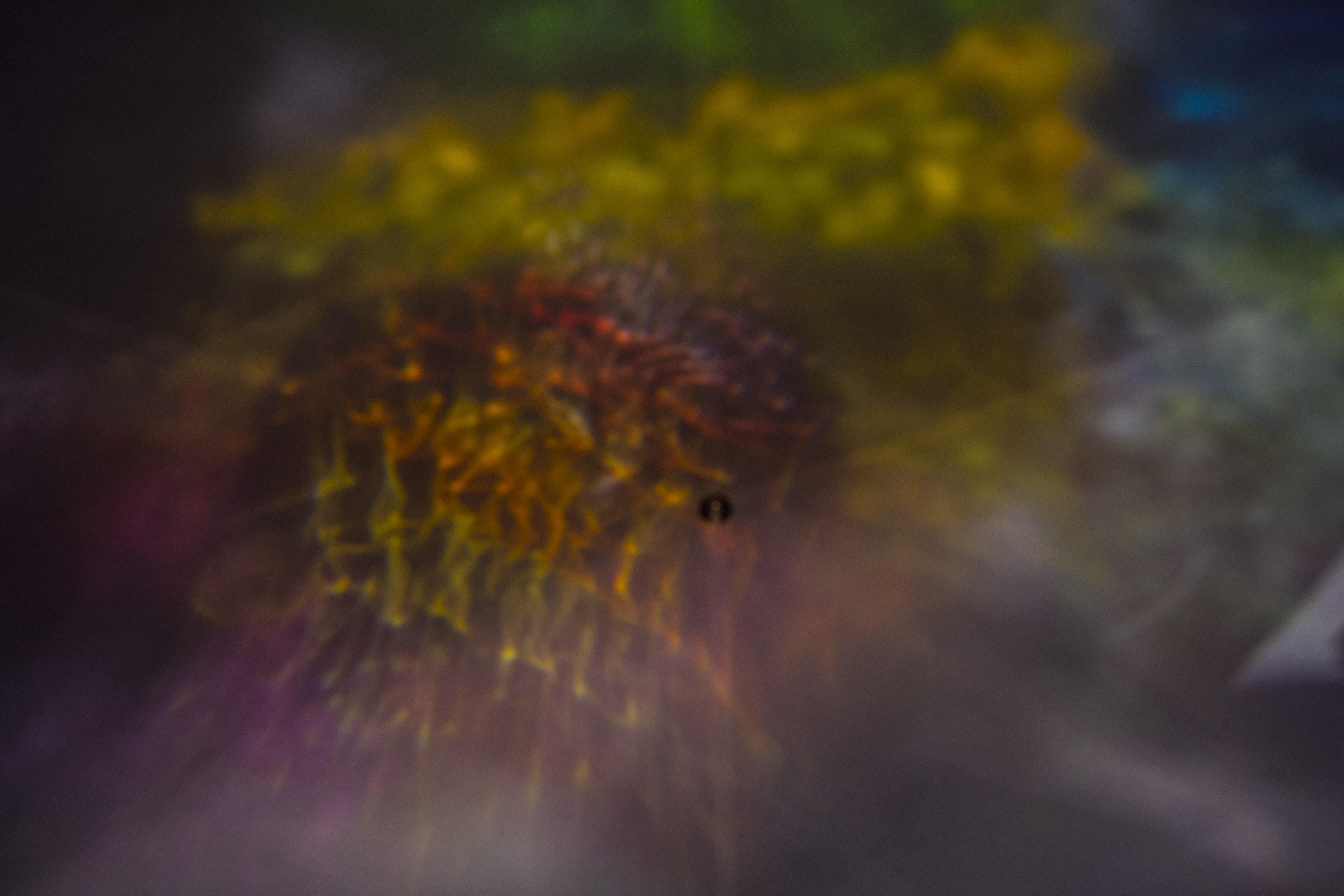 The_Eighth_Art_15.jpg