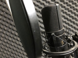 APEX 430 Condenser Microphone