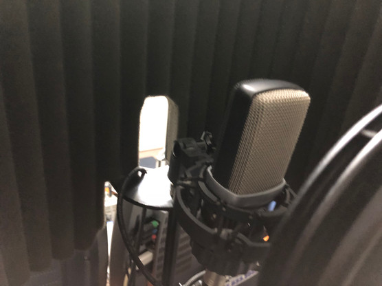 AKG c214 Condenser Microphone