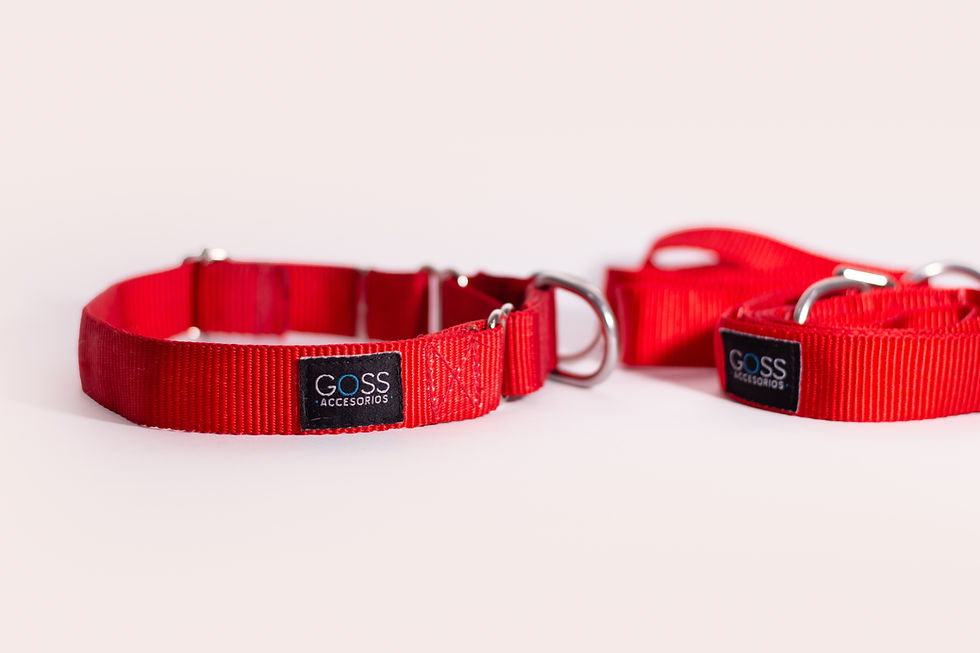 Miniatura: Collar Martingale
