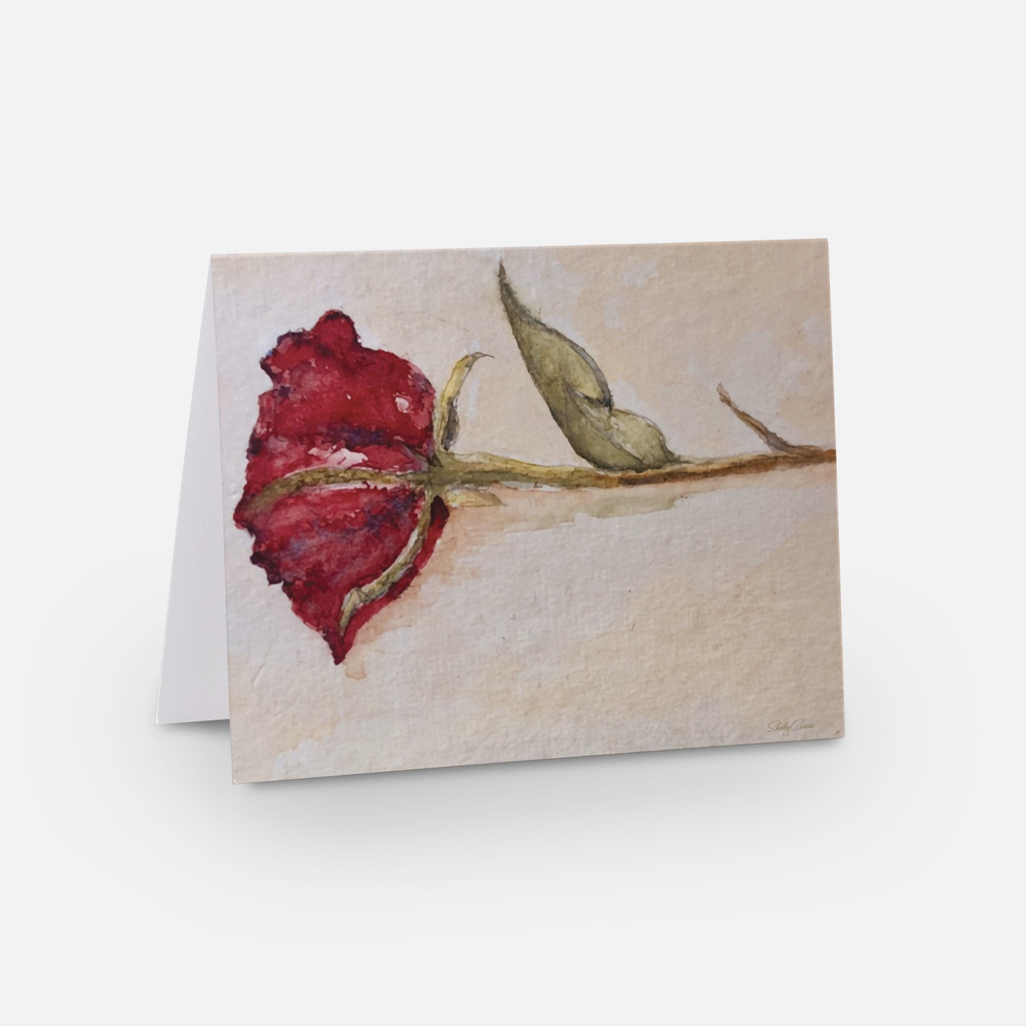 Shipwrecked Greeting Card