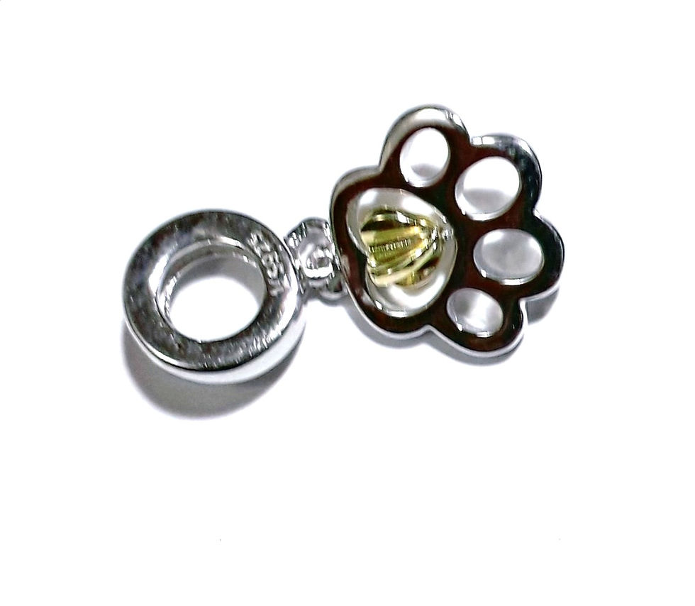 Colgante huella de perrito de plata 925