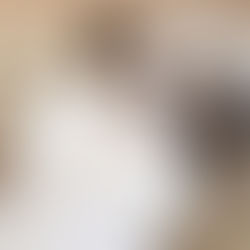 LE SHIH-TZU