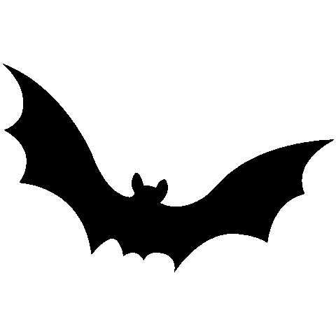 bats-vector-transparent-2.gif