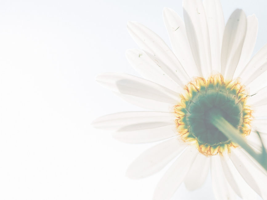 Web site background.jpeg
