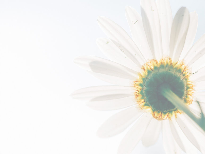 Web site background.jpeg