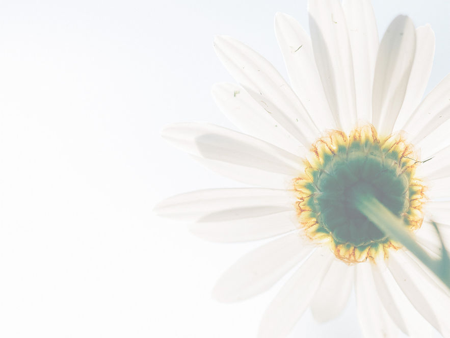 Web site background.jpeg