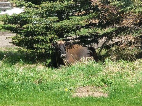 20200528_114658 (1).jpg