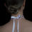 Thumbnail: Back view of Pink Beaded Choker Necklace tied with a ribbon bow.