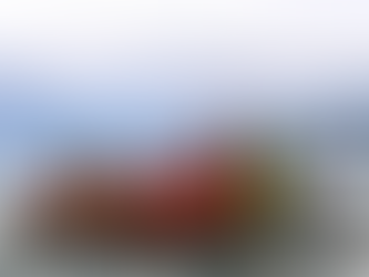 Seminario Fauna Chilena: Donde la conservación se encuentra con la creatividad