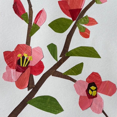 Red Quince Flowers Painted paper collage