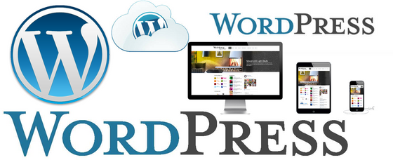 Know Why WordPress is the Most Preferred CMS for Web Designing